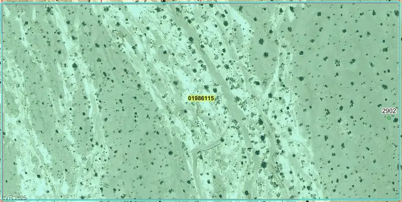 2902 N Falcon Road, Amargosa Valley, NV 89020 - Image #1