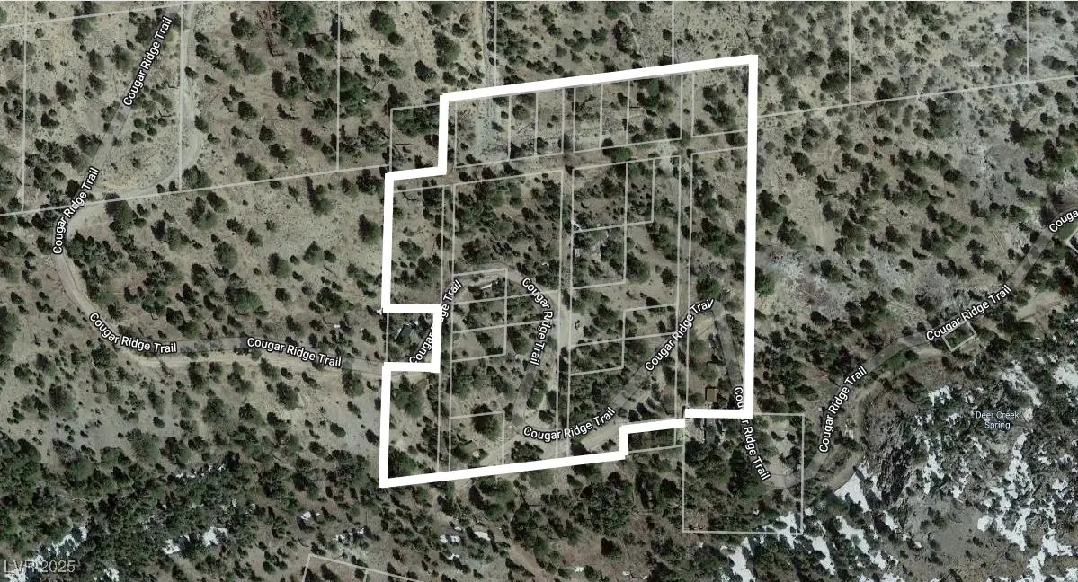 4085 Cougar Ridge Trail, Mount Charleston, NV 89124 - #1