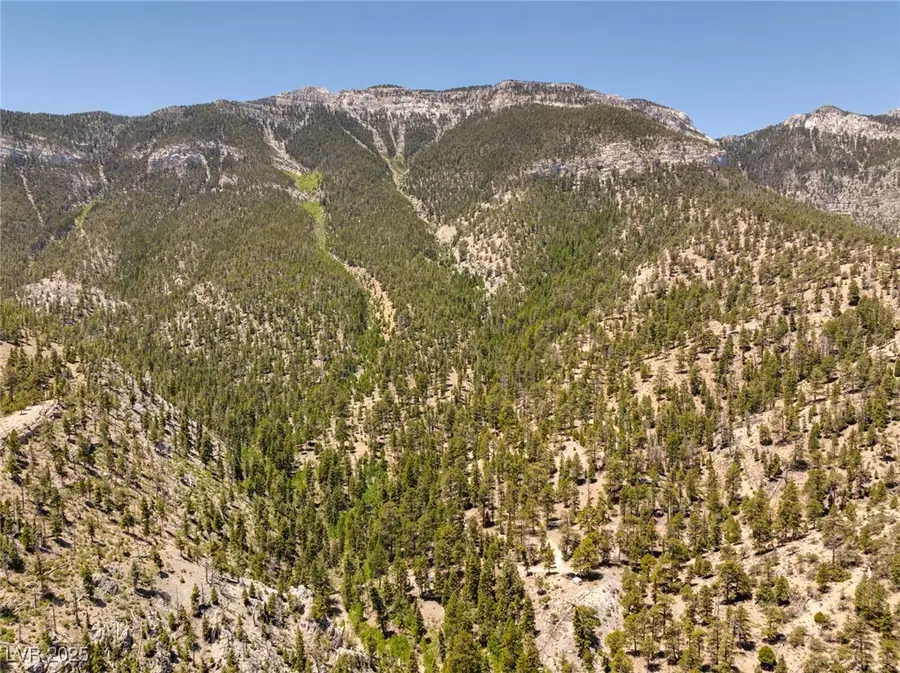 4085 Cougar Ridge Trail, Mount Charleston, NV 89124 - #2