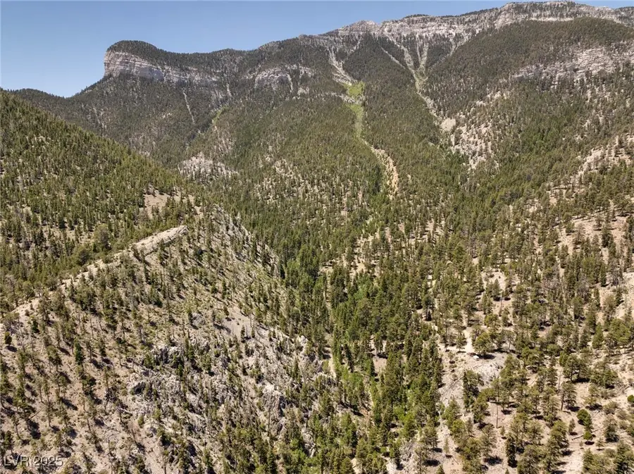 4085 Cougar Ridge Trail, Mount Charleston, NV 89124 - #3