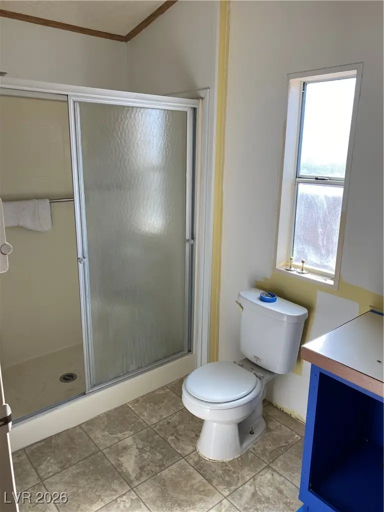 281 W Ellendale Street, Pahrump, NV 89048 - #2