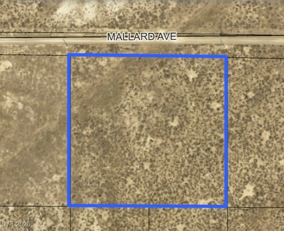 Mallard Avenue, Elko, NV 89801 - #1