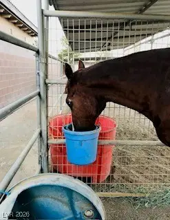 9950 Rancho Destino Road, Las Vegas, NV 89183 - #3