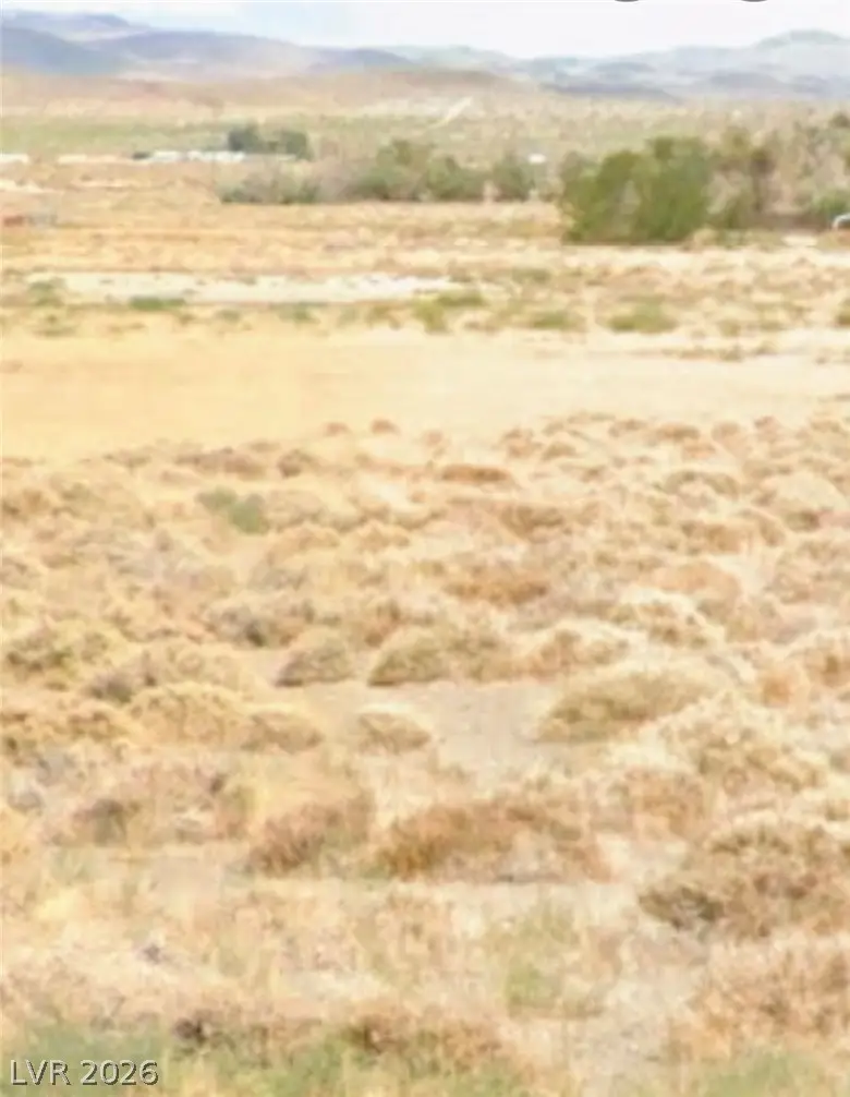 8575 S Highway 95a, Silver Springs, NV 89429 - #2