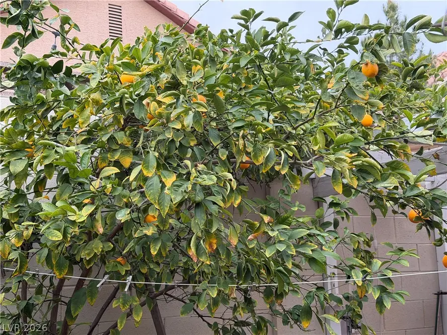 1201 Sloop Drive, Las Vegas, NV 89128 - #3