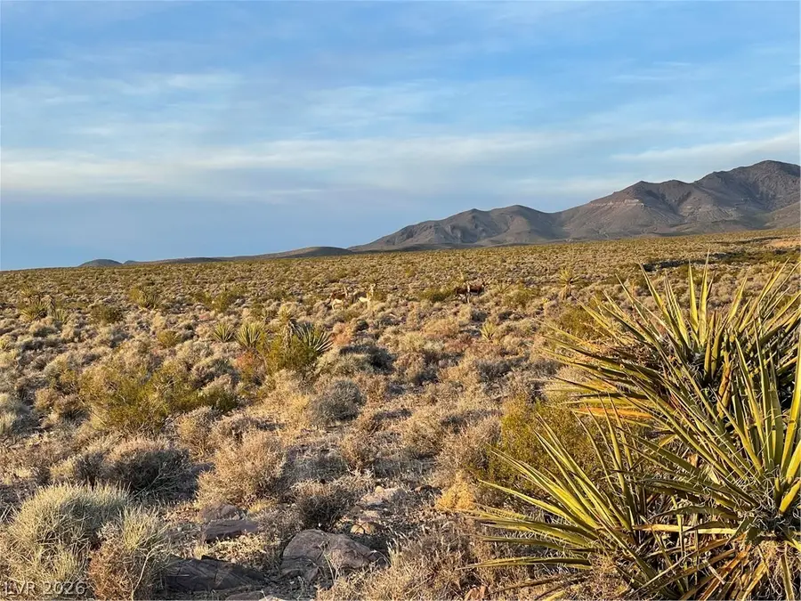 12841 N Leanna Street, Pahrump, NV 89020 - #3