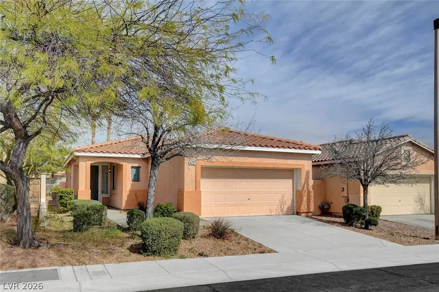 10732 Moon Flower Arbor Place, Las Vegas, NV 89144 - #3