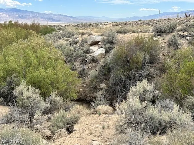 730 Chiatovich Creek Drive, Dyer, NV 89010 - #2