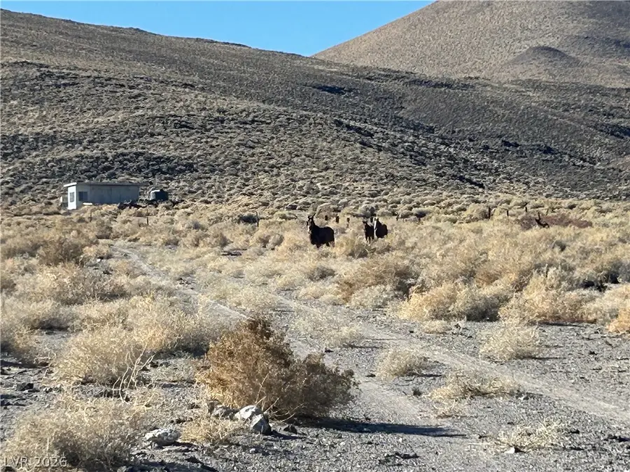 0 Sand Springs Road, Dyer, NV 89010 - #2