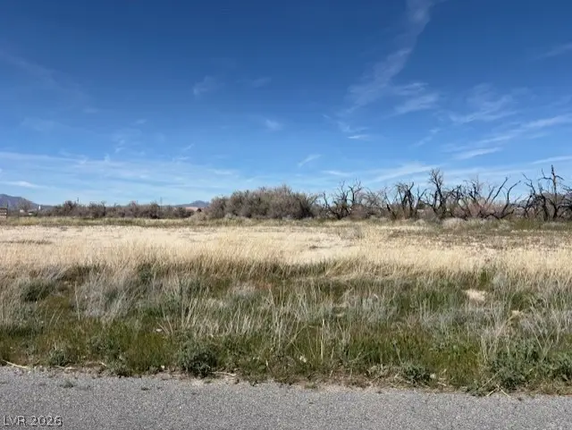 1780 S Xenia Avenue, Pahrump, NV 89048 - #2