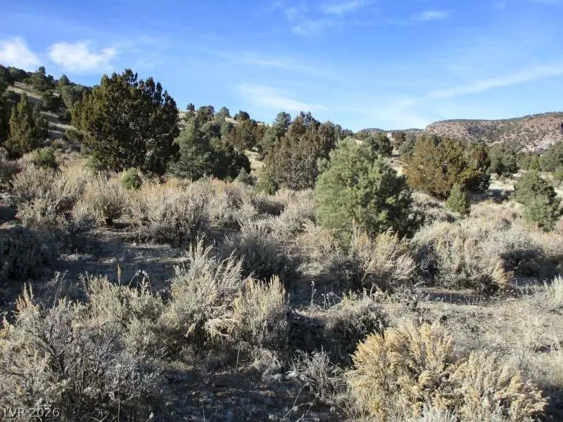 Nv Hwy 322 (10.012 Ac), Pioche, NV 89043 - #1
