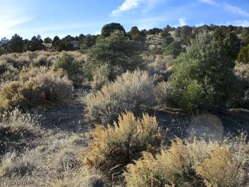 Nv Hwy 322 (10.012 Ac), Pioche, NV 89043 - #2