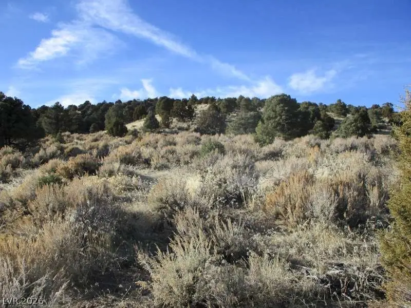 Nv Hwy 322 (10.012 Ac), Pioche, NV 89043 - #3
