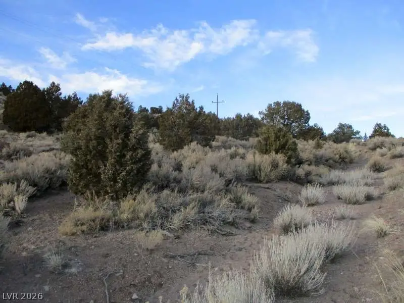 Nv Hwy 322 (9.86 Ac), Pioche, NV 89043 - #2