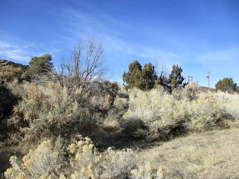 Nv Hwy 322 (2.46 Ac), Pioche, NV 89043 - #3