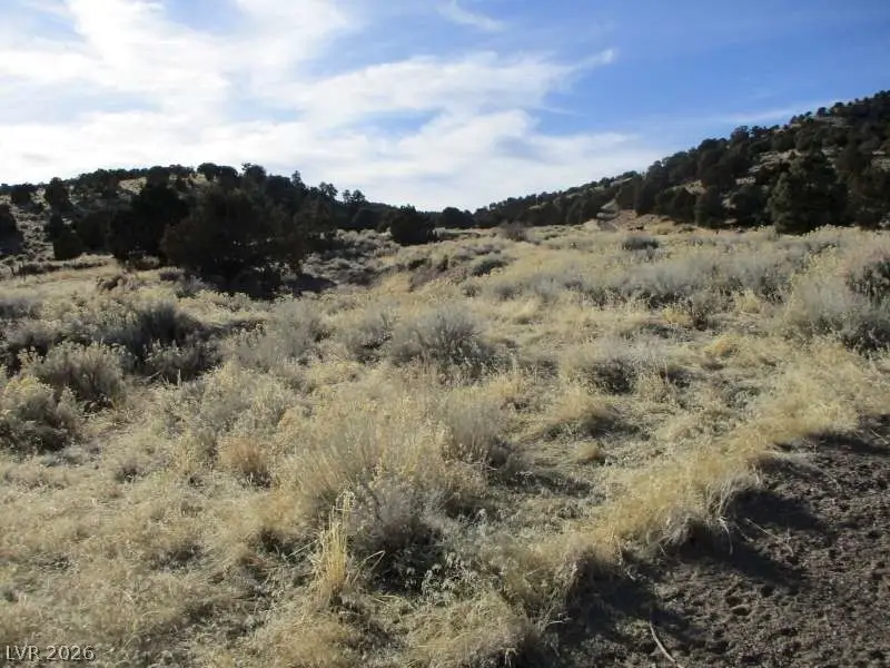 Nv Hwy 322 (2.19 Ac), Pioche, NV 89043 - #3