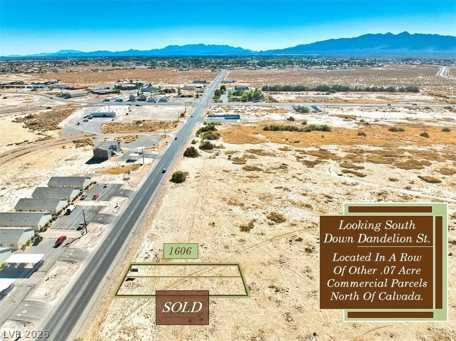 1606 S Dandelion Street, Pahrump, NV 89048 - #3