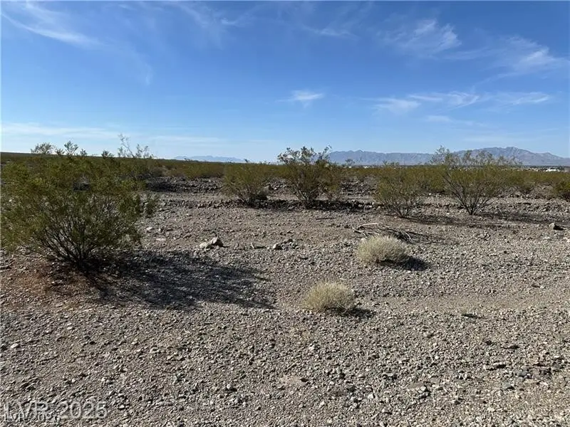 1331 E Saguaro Drive, Pahrump, NV 89060 - #3