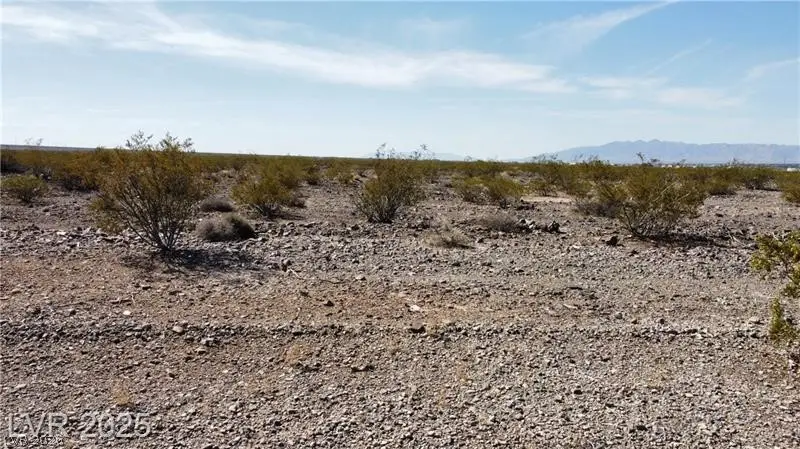 1501 E Saguaro Drive, Pahrump, NV 89060 - #2