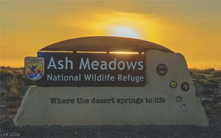 11321 S Spring Meadows Road, Amargosa Valley, NV 89020 - #2