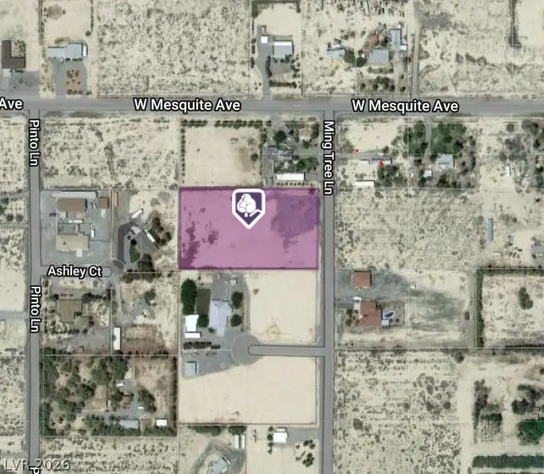 1940 Ming Tree Lane, Pahrump, NV 89060 - #3