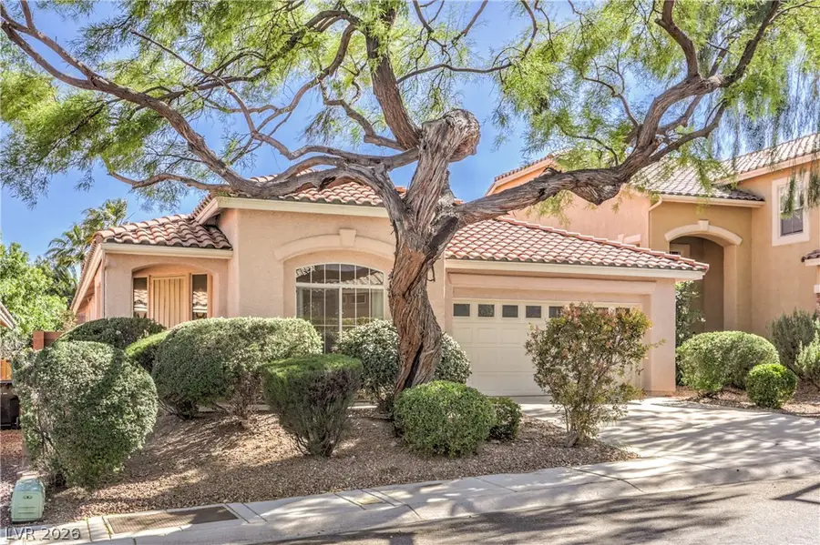 10825 Sapphire Vista Avenue, Las Vegas, NV 89144 - #3