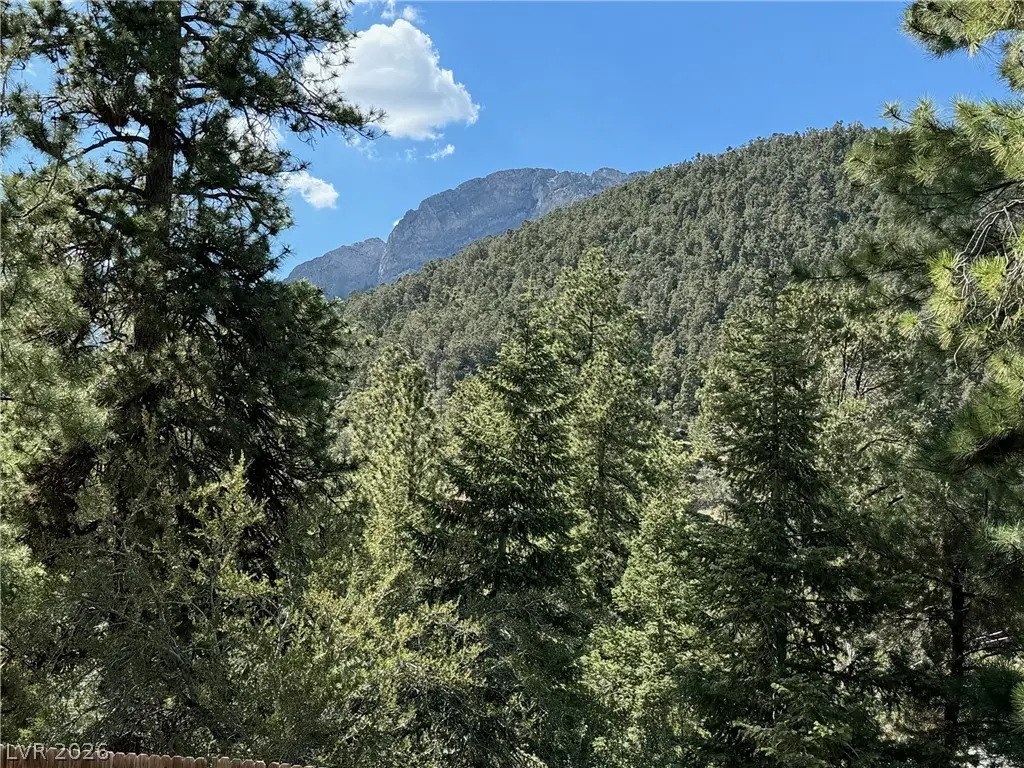 4028 Mont Blanc Way, Mount Charleston, NV 89124 - #1