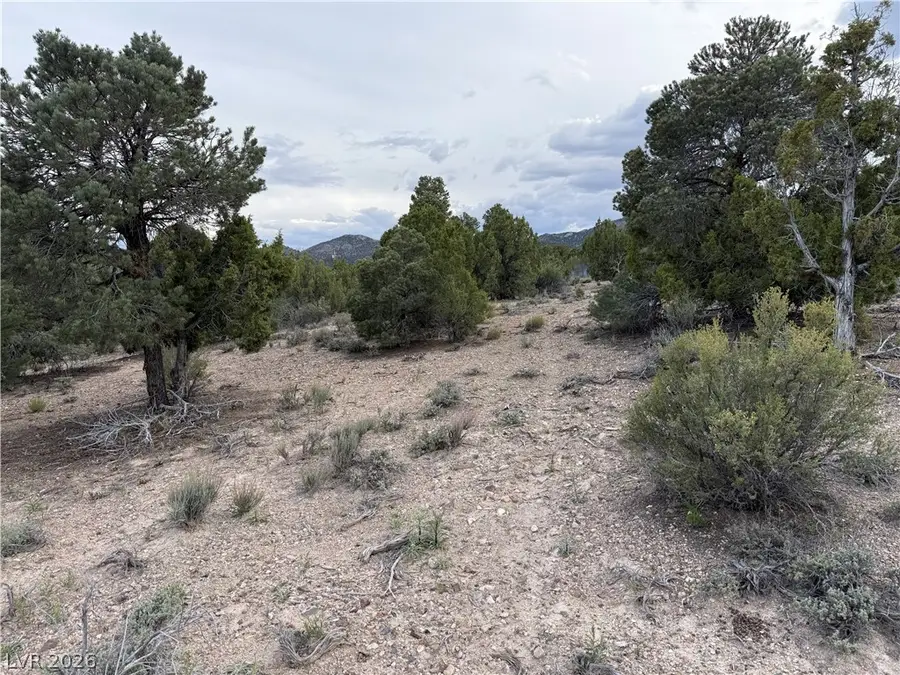 0 Timber Crest Way, Pioche, NV 89043 - #3