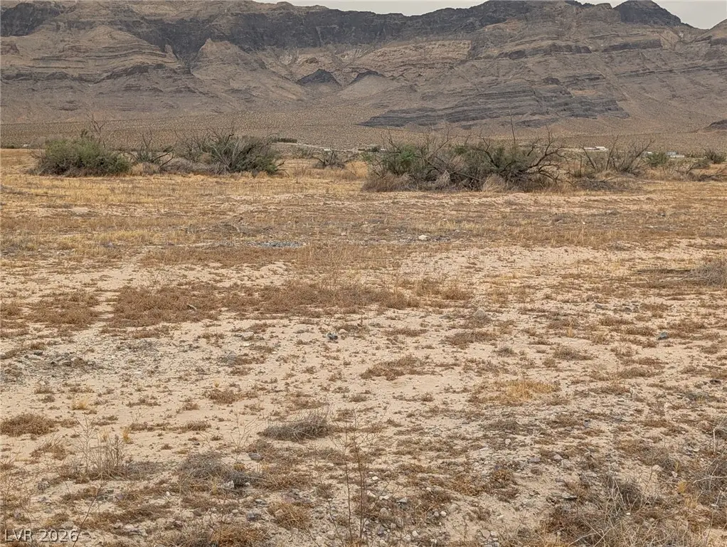 5900 N Fitzroy Avenue, Pahrump, NV 89060 - #1