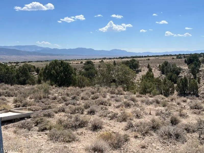 Pinyon Pine, Ely, NV 89301 - #1