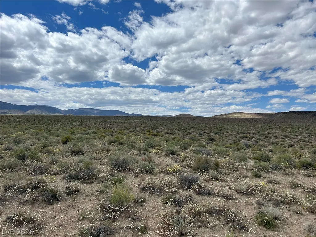 510 Gillum Lane, Dyer, NV 89010 - #1