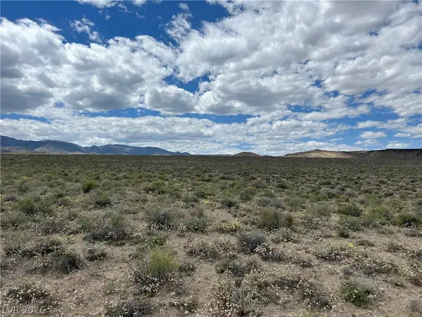 510 Gillum Lane, Dyer, NV 89010