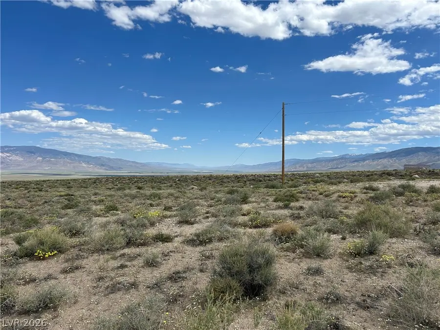510 Gillum Lane, Dyer, NV 89010 - #3