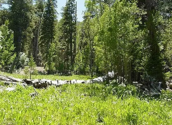 0 Deer Creek, Mount Charleston, NV 89124