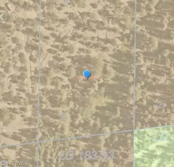 Deer, Mount Charleston, NV 89124 - #2