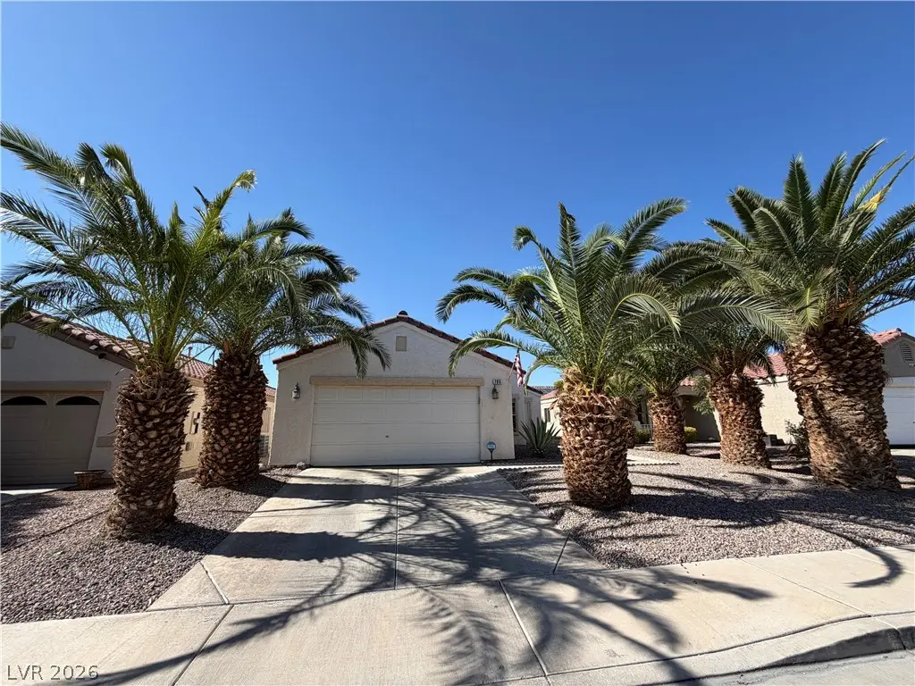 705 Salt Flats Circle, Henderson, NV 89011 - #1