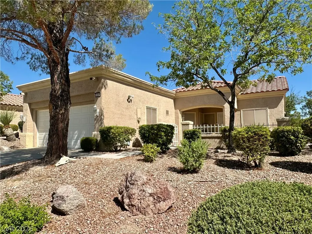 10016 Heyfield Drive, Las Vegas, NV 89134 - #1