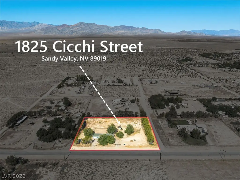 1825 Cicchi Street, Sandy Valley, NV 89019 - #1