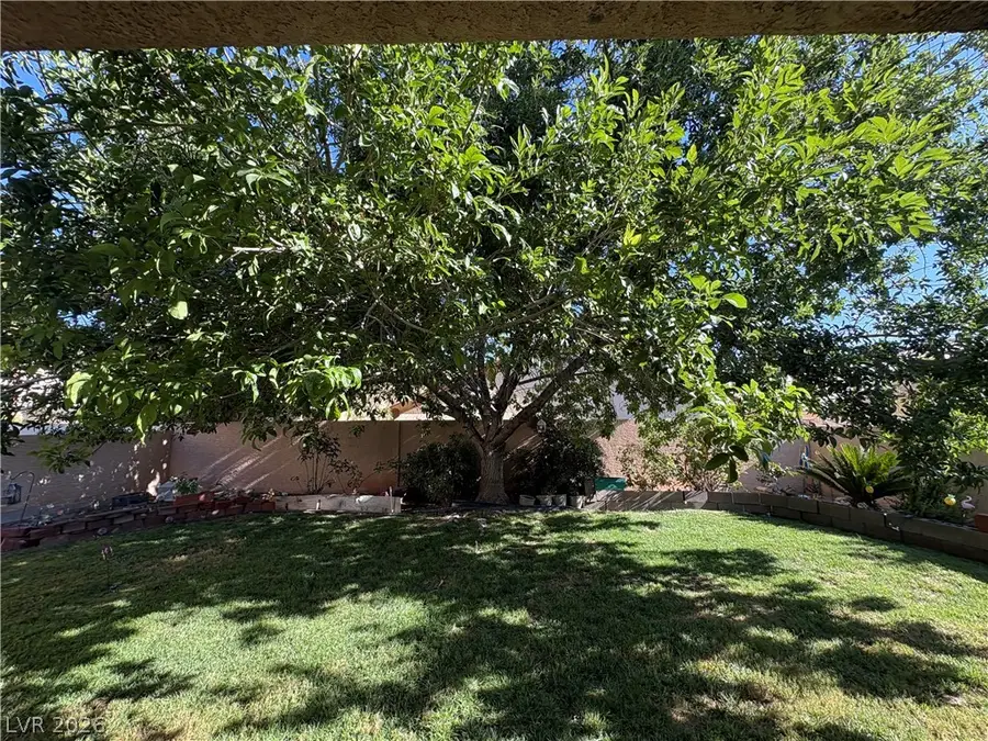 132 Cora Hills Court, Las Vegas, NV 89148 - #3