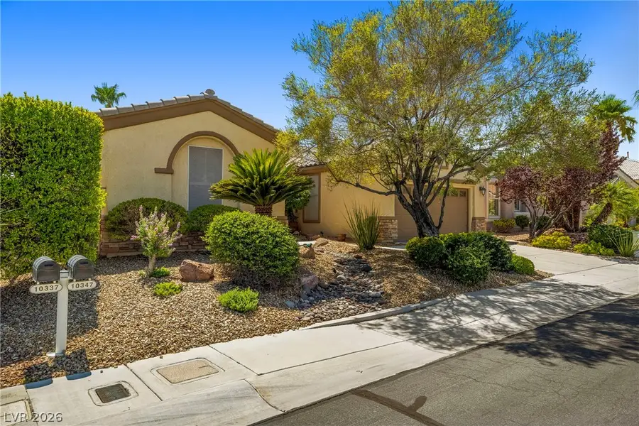 10347 Profeta Court, Las Vegas, NV 89135 - #3