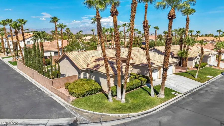 5569 Wild Olive Street, Las Vegas, NV 89118 - #3
