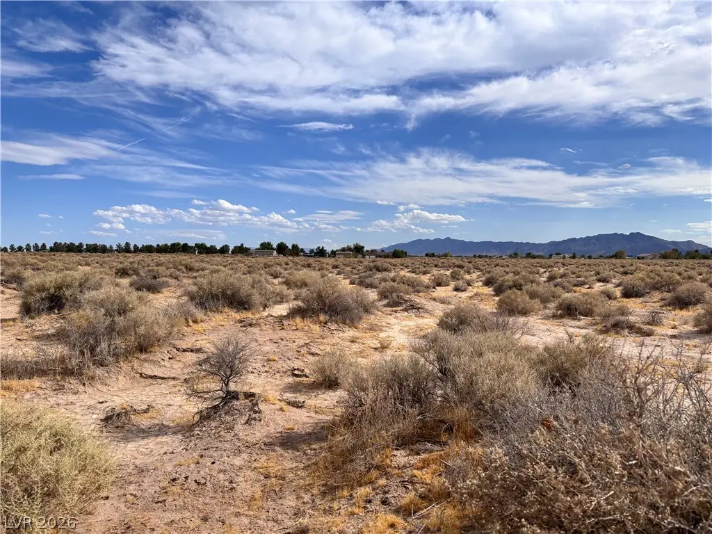 1311 W Nye Road, Pahrump, NV 89060 - #1