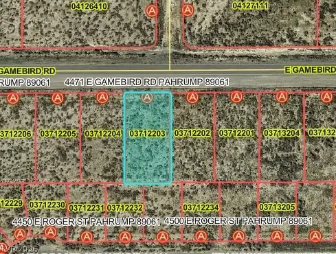4471 E Gamebird Road, Pahrump, NV 89061 - #3