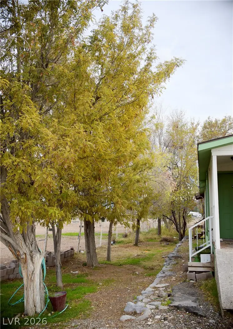 75 W Obsidian Avenue, Sandy Valley, NV 89019 - #3