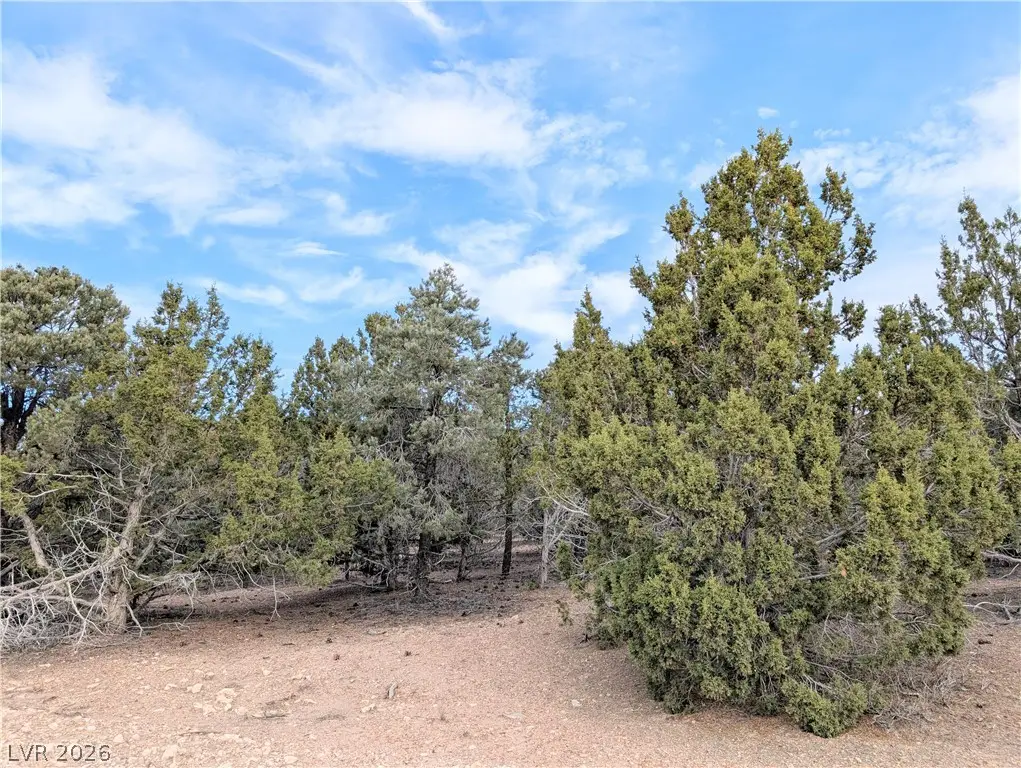 Lot 1-A Side Hill Pass, Pioche, NV 89043 - #1