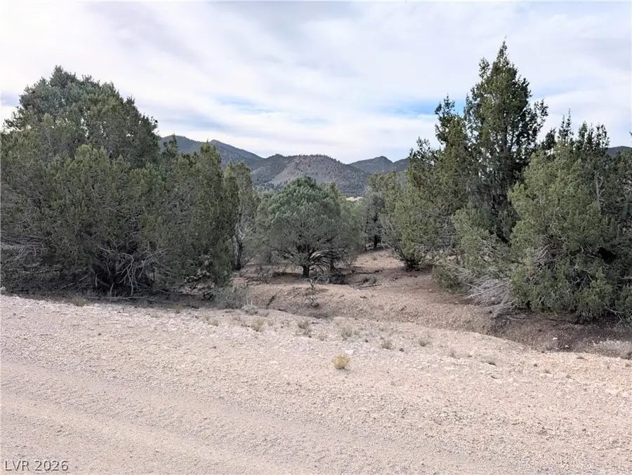 Lot 1-A Side Hill Pass, Pioche, NV 89043 - #3