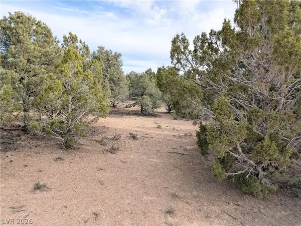Lot 1-C Side Hill Pass, Pioche, NV 89043