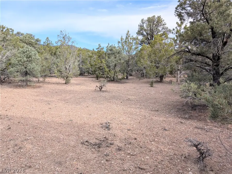 Lot 1-C Side Hill Pass, Pioche, NV 89043 - #3