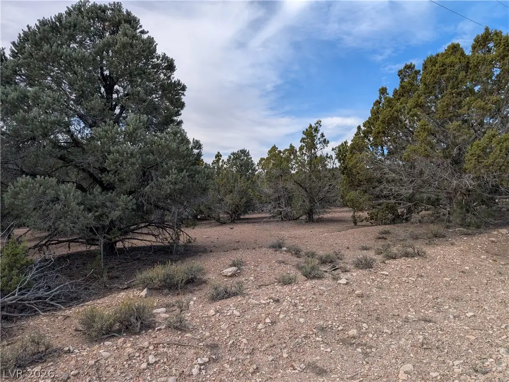 Lot 1-D Side Hill Pass, Pioche, NV 89043 - #1