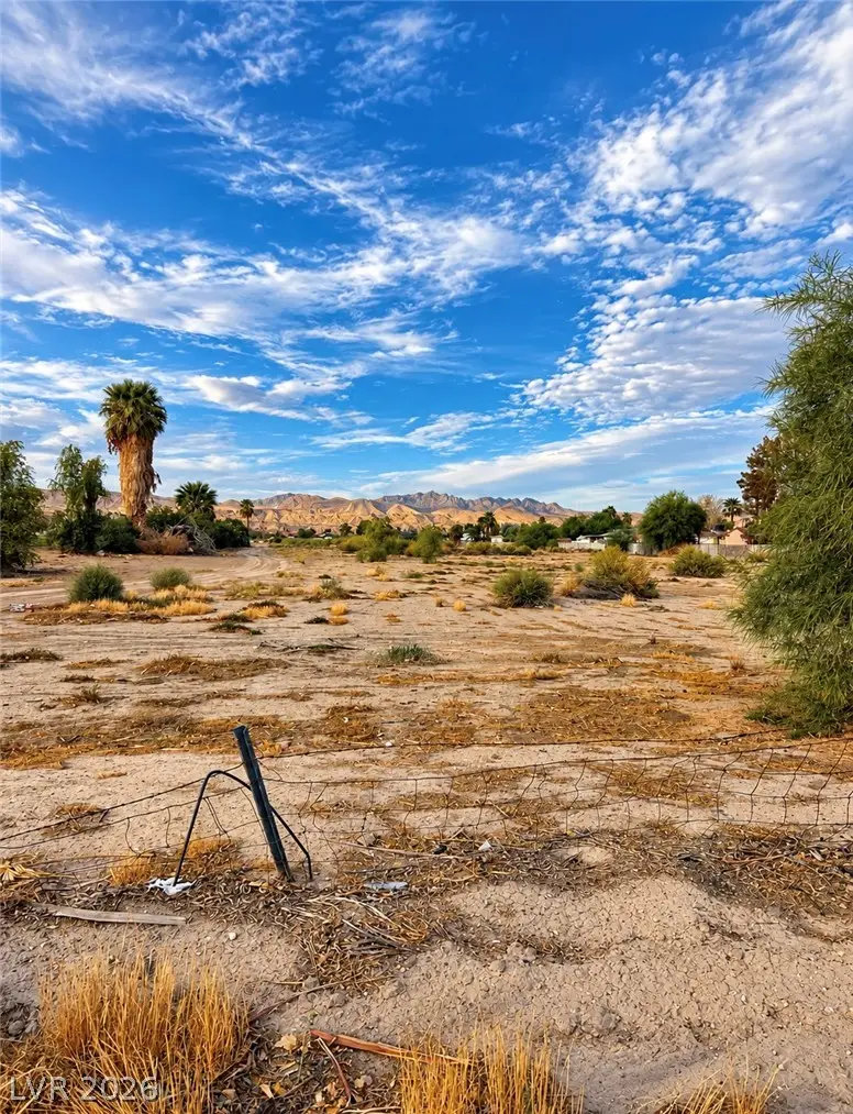 575 Cooper Street, Overton, NV 89040 - #2